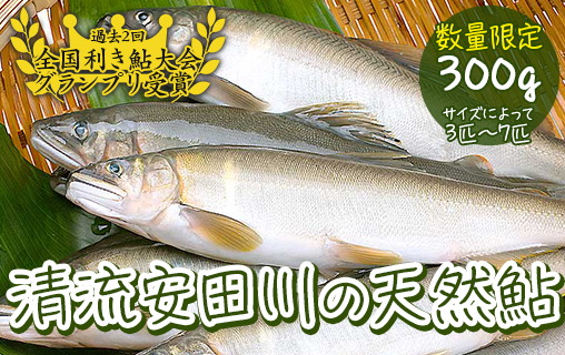 清流安田川の天然鮎(冷凍) 魚介 お取り寄せグルメ高知県馬路村12000魚介・海産物その他 魚介・海産物