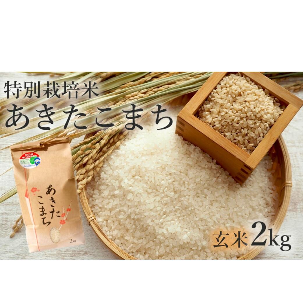 米 お米 玄米 特別栽培米 あきたこまち 2kg 秋田県産 令和6年産