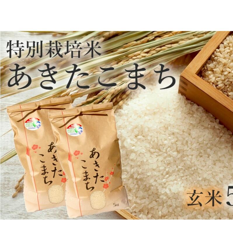 玄米 あきたこまち 10kg (5kg×2袋) 令和7年産 米 こめ お米 おこめ 令和7年 特別栽培米 産地直送 ご飯 ごはん 秋田こまち 秋田 秋田県 能代市 特別栽培秋田県能代市29500米・パン玄米・雑穀米・