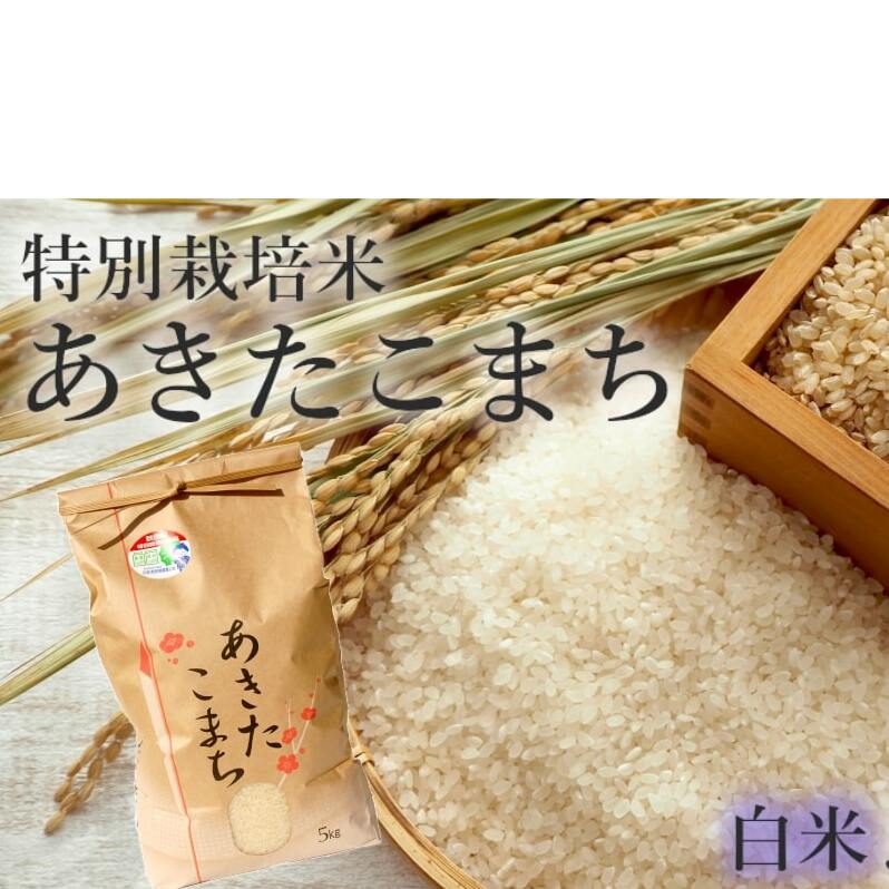  ܂ 5kg ߘa7NY      ߘa7N ʍ͔| Yn  ͂ Hc܂ Hc Hc \s ʍ͔|Hc\s15500āEpāEGāE