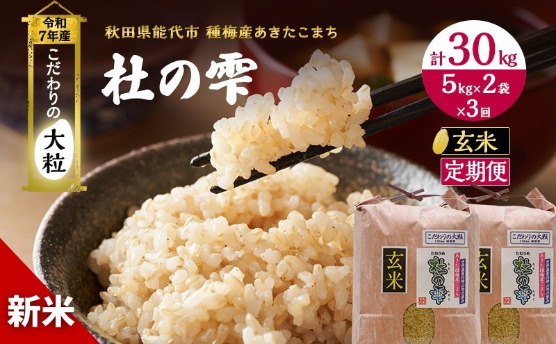 令和7年産 新米 米 お米 《定期便3ヶ月》【玄米】秋田県産 あきたこまち あきた種梅産こまち 杜の雫 こだわりの大粒 10kg(5kg×2袋)×3回 合計30kg 秋田県能代市73000米・パン白米