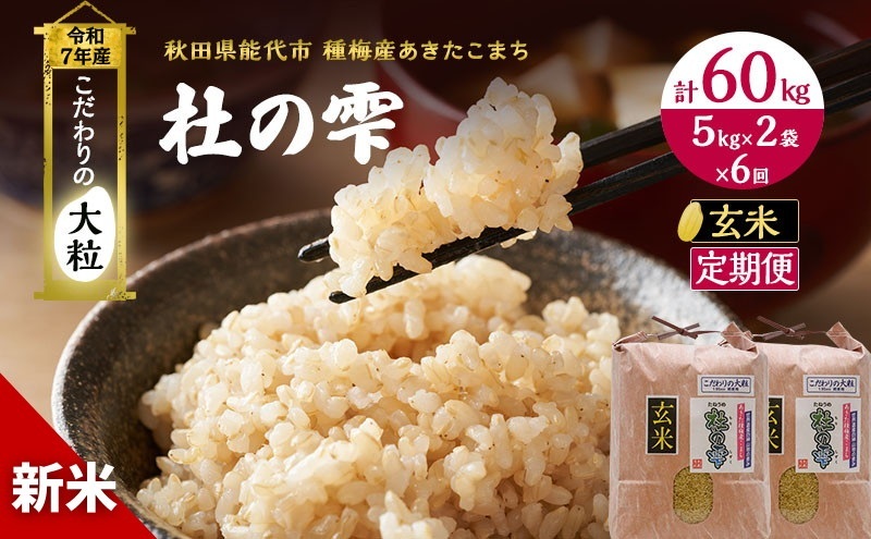令和7年産 新米 米 お米 《定期便6ヶ月》【玄米】秋田県産 あきたこまち あきた種梅産こまち 杜の雫 こだわりの大粒 10kg(5kg×2袋)×6回 合計60kg 秋田県能代市145000米・パン白米