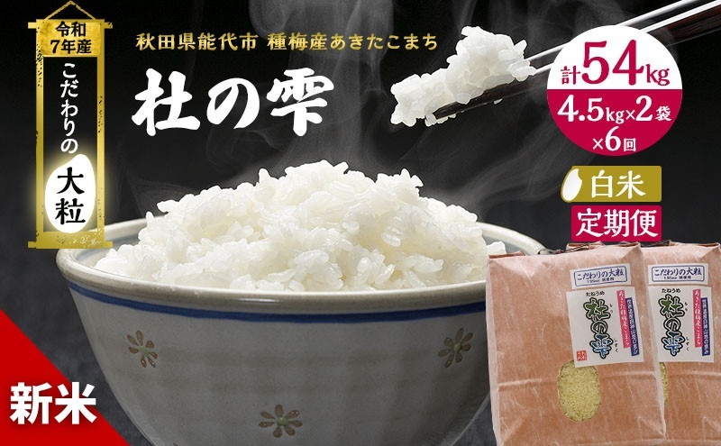 令和7年産 新米 米 お米 《定期便6ヶ月》【白米】秋田県産 あきたこまち あきた種梅産こまち 杜の雫 こだわりの大粒 9kg(4.5kg×2袋)×6回 合計54kg 秋田県能代市145000米・パン白米