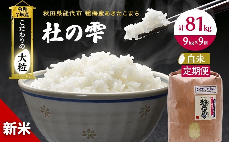 令和7年産 新米 米 お米 《定期便9ヶ月》【白米】秋田県産 あきたこまち あきた種梅産こまち 杜の雫 こだわりの大粒 9kg×9回 合計81kg 秋田県能代市209500米・パン白米