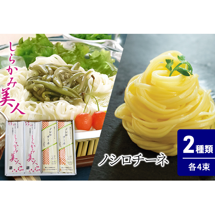 食べ比べ しらかみ美人 140g(約2人前)×4束 能代うどんパスタ ノシロチーネ 200g(約2人前)×4束 乾麺 和風 フィットチーネ 平打ち麺 鍋 冷たい 温かい ざるうどん 鍋の締め秋田県能代市15000麺うど