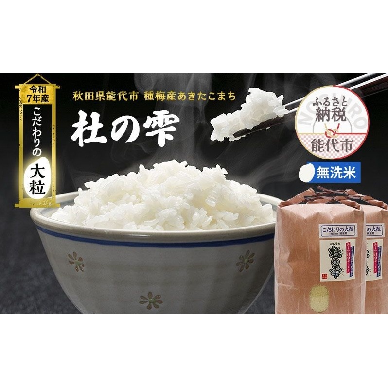令和7年産 新米 米 お米 《定期便9ヶ月》【無洗米】秋田県産 あきたこまち あきた種梅産こまち 杜の雫 こだわりの大粒 9kg(4.5kg×2袋)×9回 合計81kg秋田県能代市221000米・パン無洗米