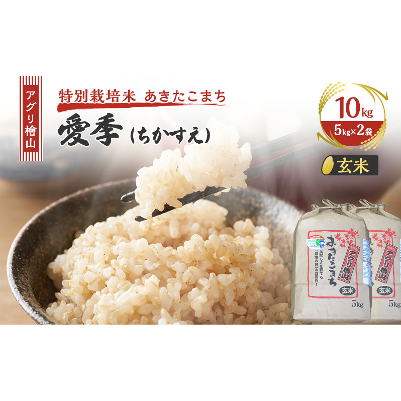 令和7年産 新米 アグリ檜山米 愛季(ちかすえ) 玄米 10kg ( 5kg × 2袋 )( 特別栽培米 あきたこまち ) お米 おこめ こめ コメ ごはん ご飯 大粒 令和7年  秋田 秋田県 能代市秋田県能代市28000米・パン