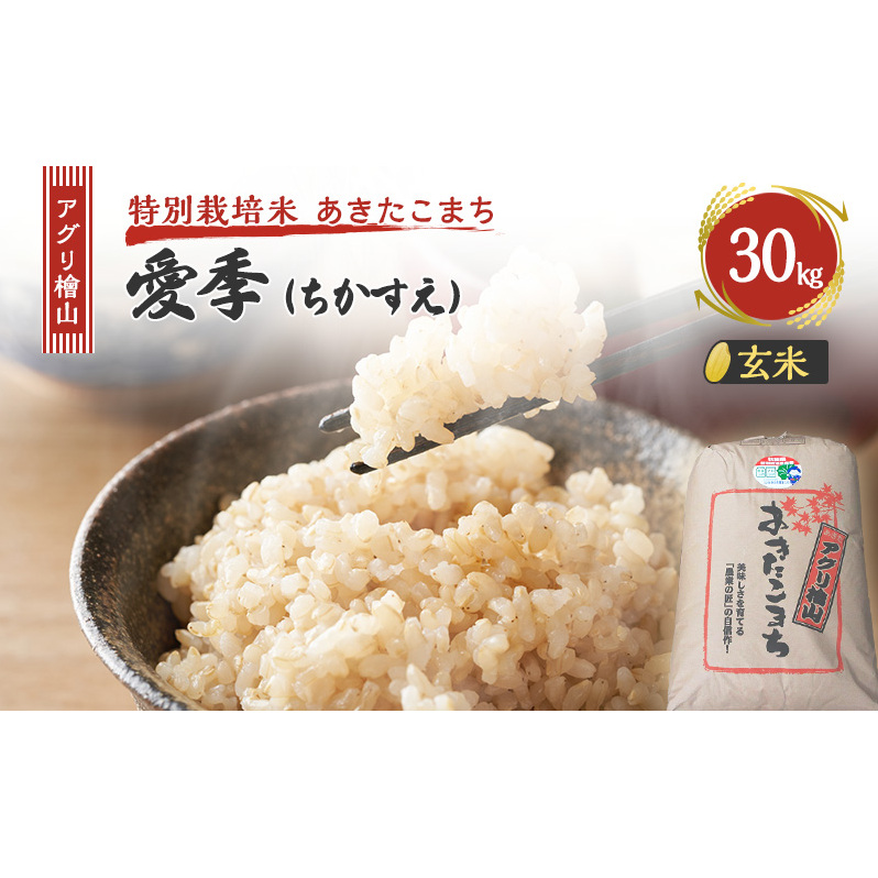 ߘa7NY V AOwR G()  30kg  ܂     R ͂  嗱 ߘa7N  Hc Hc \sHc\s80000āEp