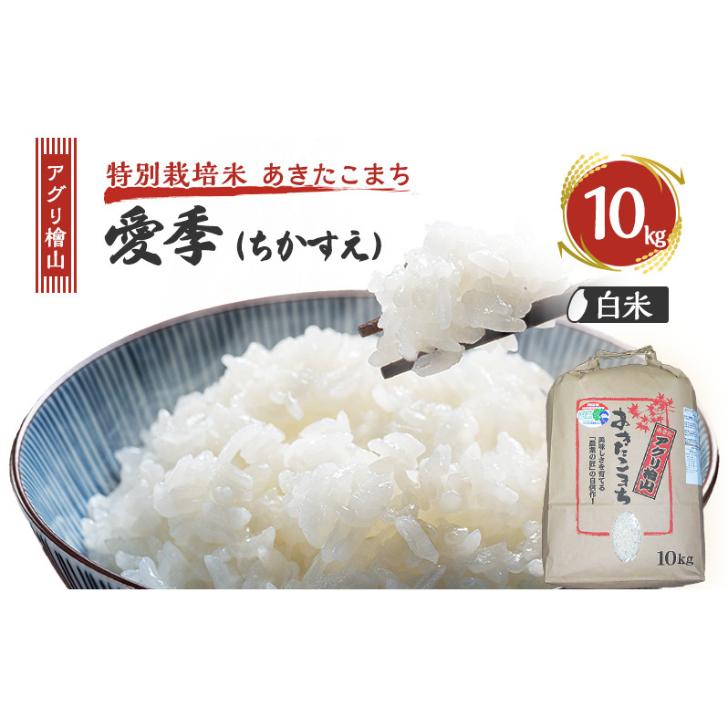 ߘa7NY V AOwR G()  10kg  ܂      R ͂  嗱 ߘa7N  Hc Hc \sHc\s30000āEp