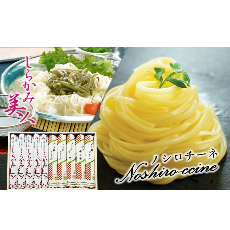 能代うどん 和風パスタ 食べ比べ 乾麺 2種 詰合せ 「しらかみ美人」「ノシロチーネ」各5束 セット 麺類 麺食べ比べ ツルツル食感 なめらか モチモチ食感 早ゆでパスタ 秋田県能代市19500麺そ