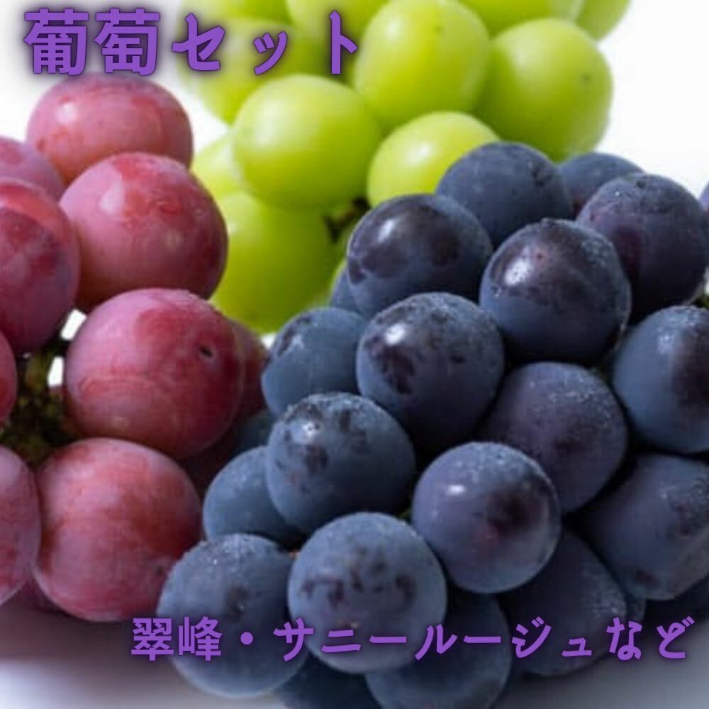 花巻堪能 葡萄セット(2種類以上) 【1022】岩手県花巻市14000果物・フルーツマスカット・ぶどう