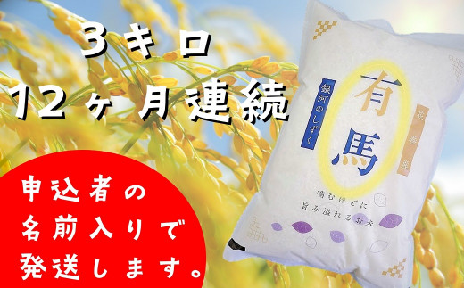 【12ヶ月定期便】銀河のしずく白米3s 【1033】岩手県花巻市70000米・パン白米