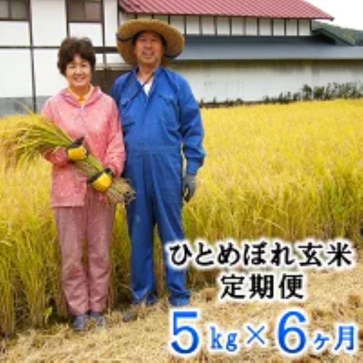 ≪令和7年産≫【6ヶ月定期便】減農薬栽培 ひとめぼれ玄米5kg 【1109】岩手県花巻市110000米・パン玄米・雑穀米・もち米・餅