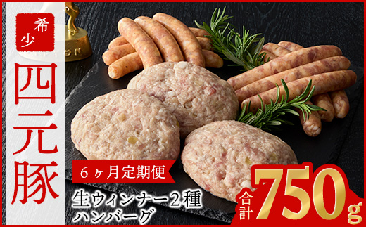 【定期便6ヶ月】四元豚 グルメセットA 3種 750g 【1229】岩手県花巻市81000肉加工肉(ハム・ソーセージ等)