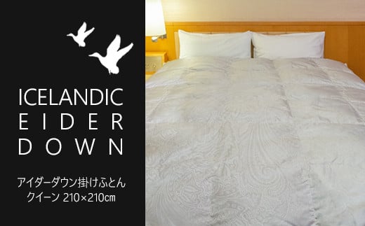 AC_[_E|ӂƂ NC[mAC_[_E×YVN WJ[hn y1373z茧Ԋs8500000G݁EpiQE^I