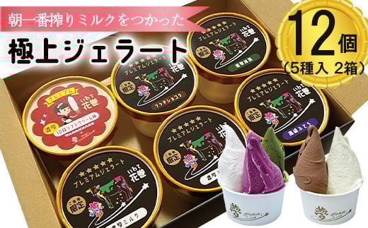 ԊIɏWF[g12Zbg 120ml×I5 y1422z茧Ԋs24000َqEXC[cACXEWF[g