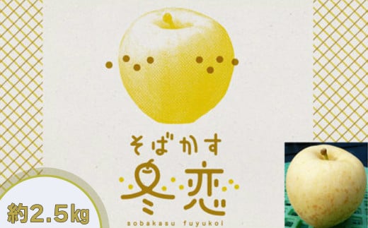 ΂ ~͂邩 Ɨp iTrj 2.5kg@\t y1666z茧Ԋs17000ʕEt[c񂲁E