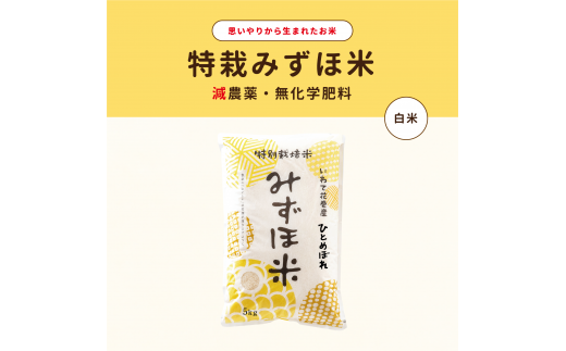 特別栽培みずほ米 ひとめぼれ 白米 5kg 【1750】岩手県花巻市14000米・パン白米
