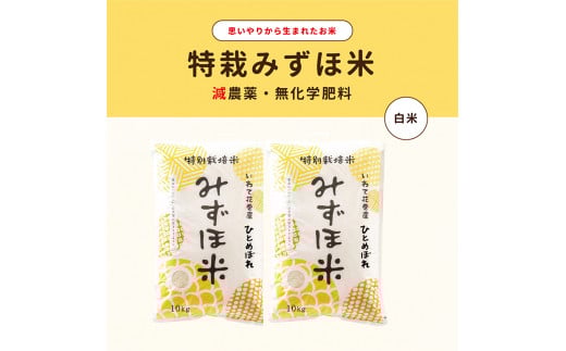特別栽培みずほ米 ひとめぼれ 白米 20kg(10kg×2袋) 【1752】岩手県花巻市48000米・パン白米
