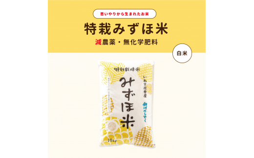 特別栽培みずほ米 銀河のしずく 白米 10kg 【1755】岩手県花巻市25000米・パン白米
