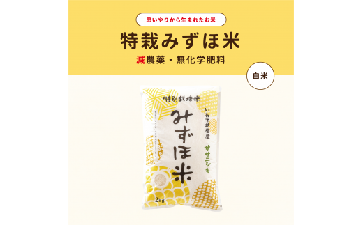特別栽培みずほ米 ササニシキ 白米 2kg 【1757】岩手県花巻市8000米・パン白米