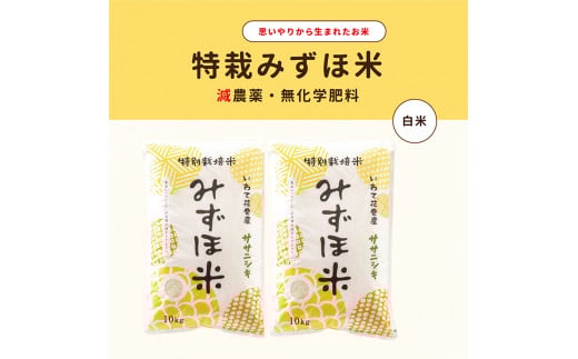 ʍ͔|݂ٕ TTjVL   20kgi10kg×2܁j y1760z茧Ԋs48000āEp