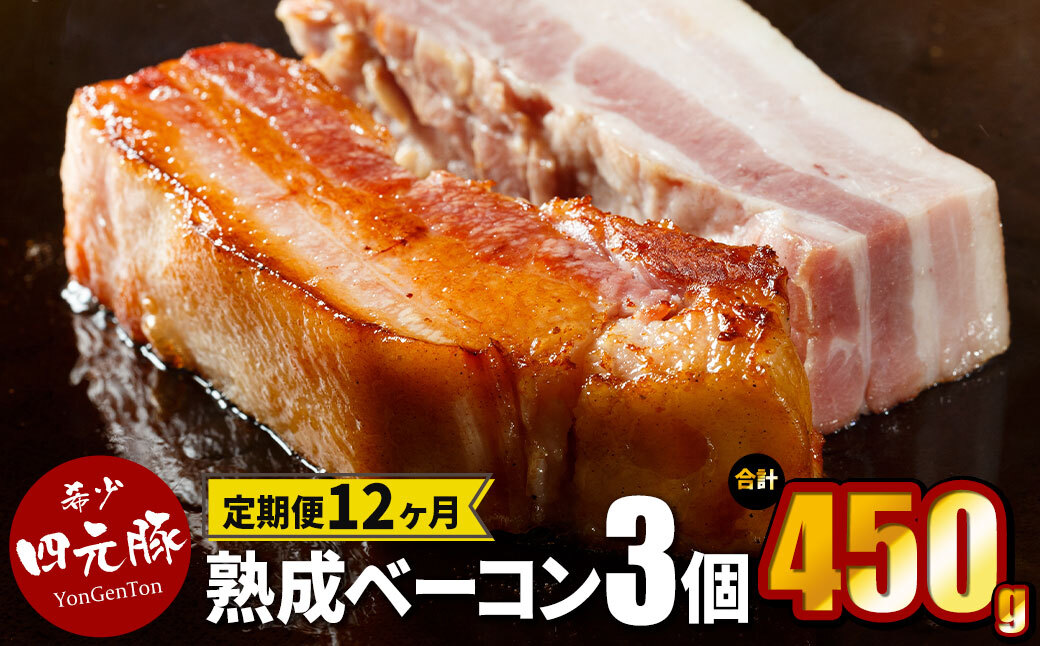 【定期便12ヶ月】GIFTON 岩手県産四元豚 熟成ベーコンブロック 150g×3 【1905】岩手県花巻市167000肉加工肉(ハム・ソーセージ等)