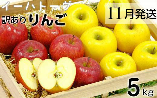 イーハトーヴ 訳アリ りんご 約5kgセット《11月より発送予定/予約受付》 【280-11】岩手県花巻市15000果物・フルーツりんご・梨