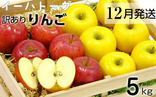 イーハトーヴ 訳アリ りんご 約5kgセット《12月より発送予定/予約受付》 【280-12】岩手県花巻市15000果物・フルーツりんご・梨