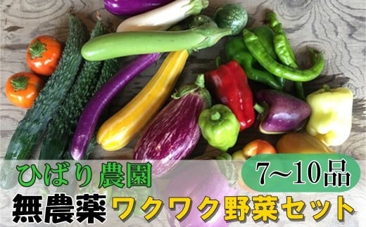 ひばり農園の無農薬ワクワク野菜セット《6月より発送開始》 【289】岩手県花巻市12000野菜・きのこその他 野菜