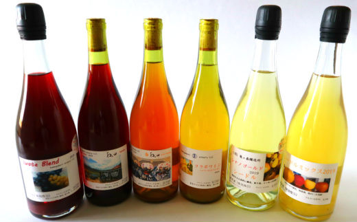 シードル&ワイン厳選6本(750ml)セット 【330】岩手県花巻市40000酒・アルコールワイン