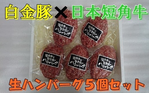 白金豚 × 日本短角牛の生ハンバーグ 5個入 【347】岩手県花巻市12000肉牛肉