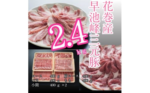 rO؁@QDSZbg y374z茧Ԋs23000