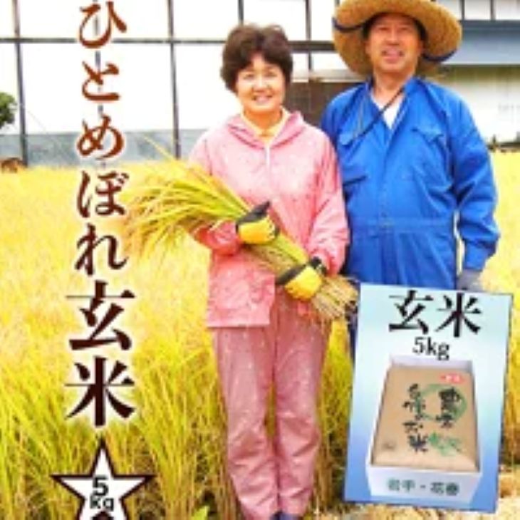 ≪令和7年産≫ 減農薬栽培 岩手花巻産ひとめぼれ玄米5kg 【509】岩手県花巻市17000米・パン玄米・雑穀米・もち米・餅
