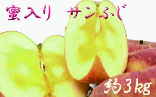 【予約受付】【贈答用】味の良い岩手の蜜入り サンふじ 約3kg 【652】岩手県花巻市10000果物・フルーツりんご・梨