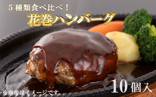 花巻ハンバーグセット(ダブル10個入)5種詰め合わせ 【762】岩手県花巻市24000肉加工肉(ハム・ソーセージ等)