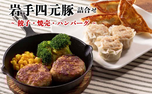 カスイ 岩手四元豚(餃子・焼売・ハンバーグ)詰合せ 【089】岩手県花巻市13000鍋セット・総菜・加工食品総菜