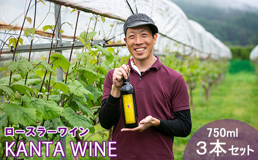 [X[ C KANTA WINE 2024iԁj 750ml×3{Zbg y968z茧Ԋs45000EAR[C