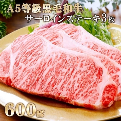 鹿児島県産A5等級黒毛和牛サーロインステーキ3枚(600g) C0-17【配送不可地域:離島】【1166313】鹿児島県枕崎市30000肉牛肉