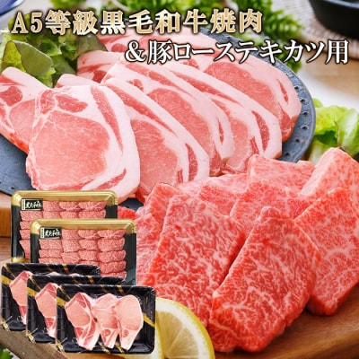 鹿児島県産A5等級黒毛和牛焼肉&豚ローステキカツ用 C0-19【配送不可地域:離島】【1166332】鹿児島県枕崎市30000肉牛肉