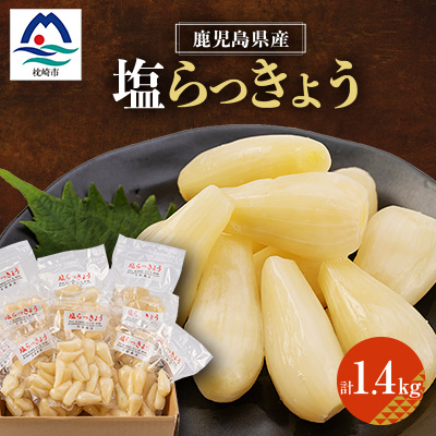 鹿児島県産塩らっきょう1.4kg (140g×10パック) A3-284【配送不可地域:離島】【1166374】鹿児島県枕崎市13000鍋セット・総菜・加工食品その他 鍋セット・総菜・加工食品