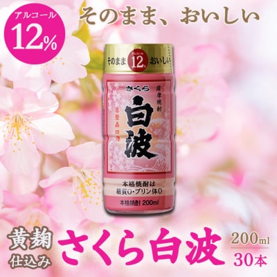 そのまま飲める 芋焼酎 華やかフルーティ【黄麹のさくら白波 12度 ペット】30本 B8-13【配送不可地域:離島】【1166665】鹿児島県枕崎市28000酒・アルコール焼酎