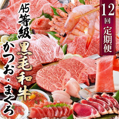定期便(12回配送)A5等級黒毛和牛&かつお・まぐろ KK-6004【配送不可地域:離島】【1166756】鹿児島県枕崎市500000肉牛肉