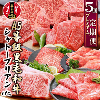 定期便(5回配送)A5等級黒毛和牛シャトーブリアン・サーロインステーキetc GG-0030【配送不可地域:離島】【1166762】鹿児島県枕崎市100000肉牛肉