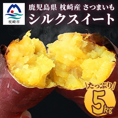 シルクスイート 〈5キロ〉 サツマイモ さつまいも 鹿児島県 A3-346【配送不可地域:離島】【1167014】鹿児島県枕崎市13000野菜・きのこじゃがいも・イモ類