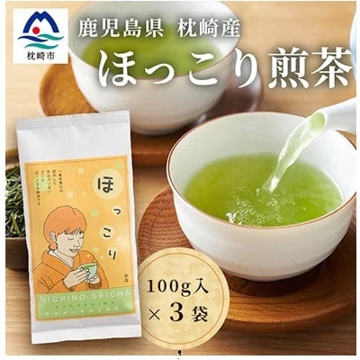 ق 100g×3 A5-1yzsnFzy1440015zs15000ER[q[Eg