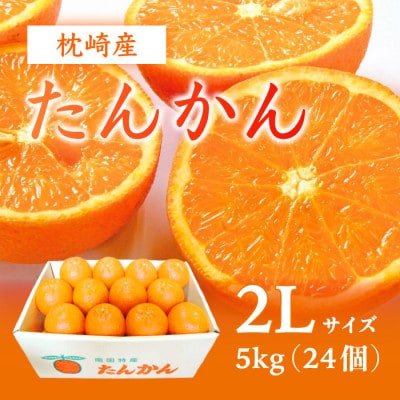 【2Lサイズ 】南国特産もぎたて たんかん 5kg【先行受付】2月下旬より順次発送 A8-122【配送不可地域:離島】【1466325】鹿児島県枕崎市18000果物・フルーツみかん・柑橘類