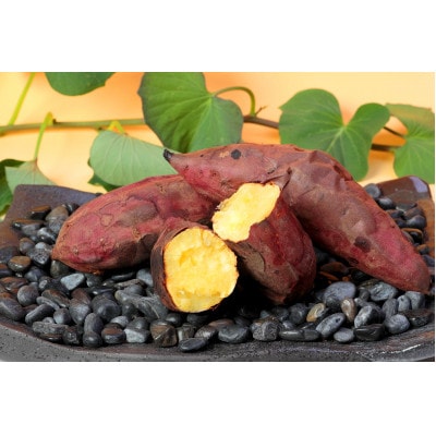 本場鹿児島さつまいも【マロンスイート】4kg 2024年10月上旬より発送Z0-11【配送不可地域:離島】【1487864】鹿児島県枕崎市9000野菜・きのこじゃがいも・イモ類