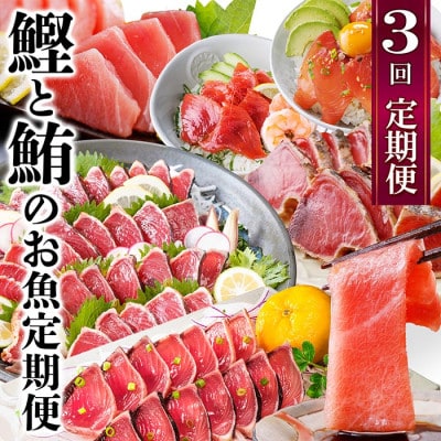 定期便3回配送 鰹とまぐろのお魚定期便 QQ-0005【配送不可地域:離島】【1543247】鹿児島県枕崎市33000魚介・海産物鮮魚