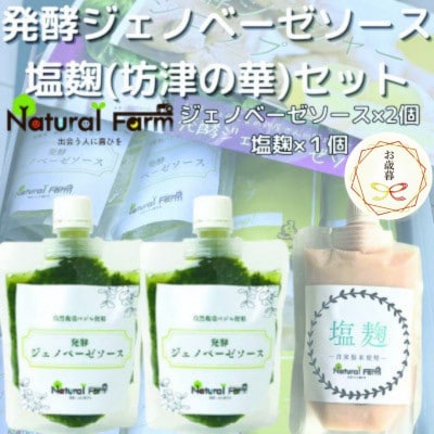 【のし付き・お歳暮】発酵ジェノベーゼソース&塩麹A5-11S【配送不可地域:離島】【1551724】鹿児島県枕崎市15000調味料・油その他 調味料・油